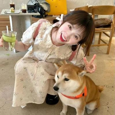 虚线的恶意